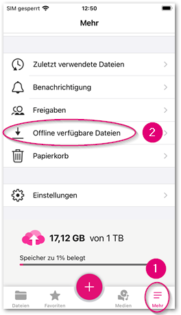 1. und 2. Offline verfügbare Dateien.png