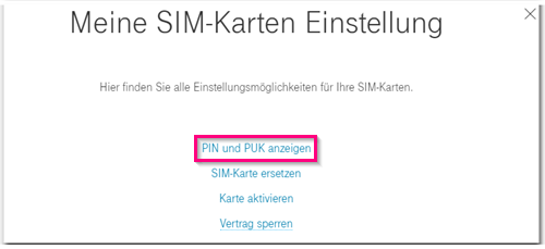 pin und puk.png