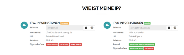 2022-07-29 16_52_28-Wie ist meine IP Adresse und mein Standort_ - dein-ip-check.de.png