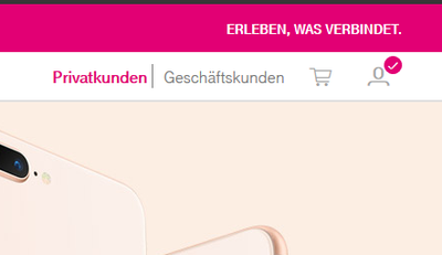 Telekomde_eingeloggt.PNG