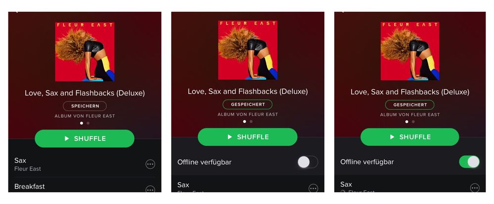 Spotify Offline Modus.jpg